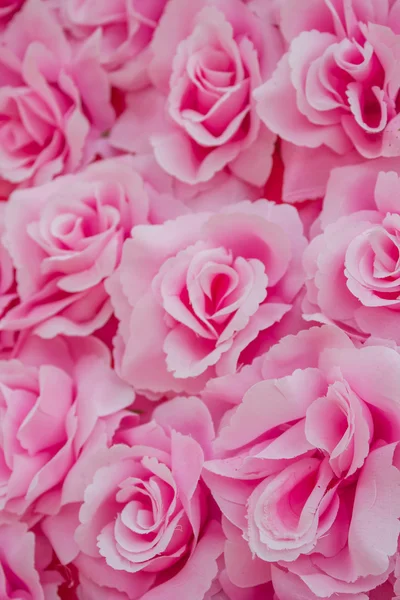 Tissu rose rose — Photo