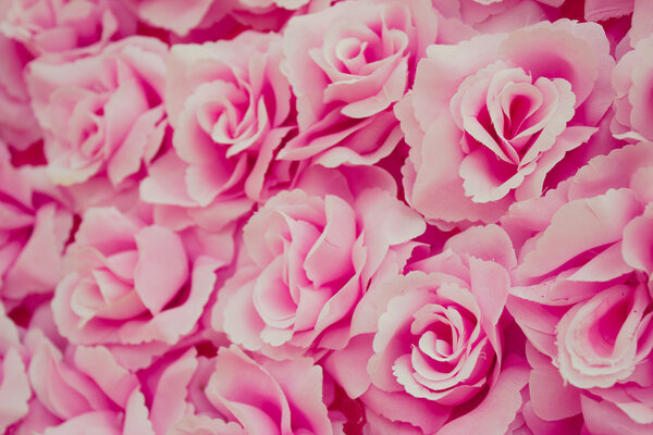 Fabric pink rose background