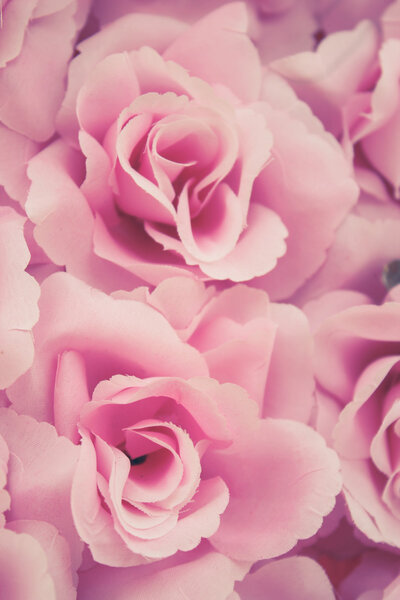 Fabric pink rose background