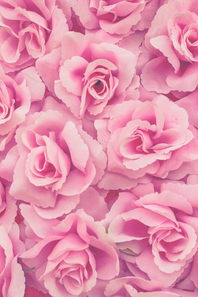 Tissu rose — Photo