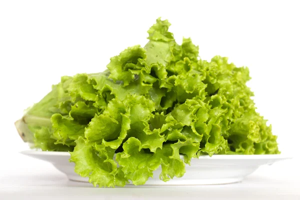 taze yeşil salata