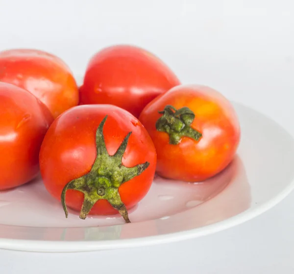 Frische Tomaten — Stockfoto