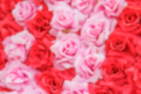 Rosa de tela — Foto de Stock