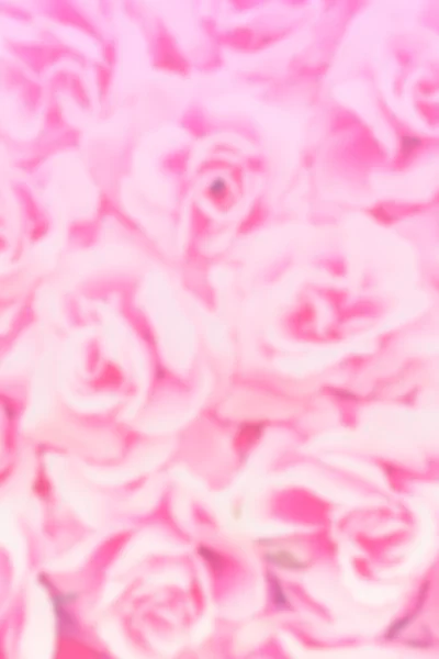 Fabric rose — Stockfoto