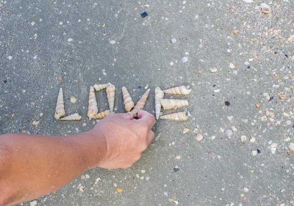 man do love word with seashell