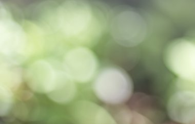 Soyut bokeh arka plan bulanıklık