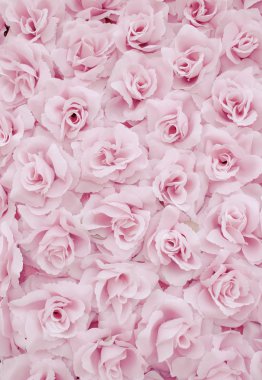 frabric arka plan gül