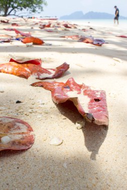 kırmızı ağaç yaprak