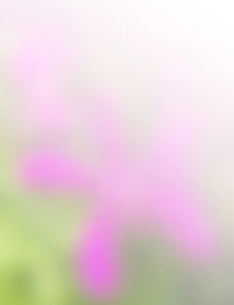 라이트 핑크 녹색과 흰색 그라데이션 개요 — 스톡 사진
