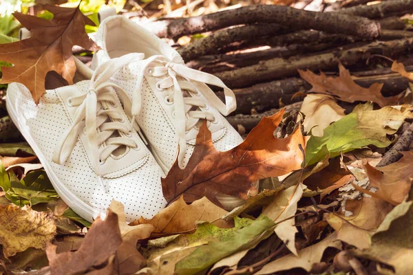 Vita Snygga Sneakers Står Höstlövverket Camping — Stockfoto