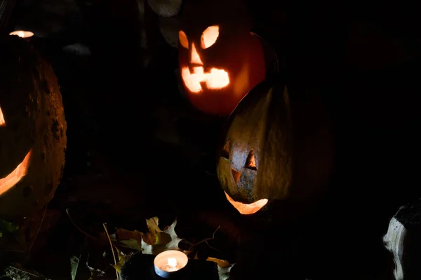 Két Ragyogó Tök Őszi Lombozaton Gyertyákkal Halloweenkor Halloween Sütőtök Lámpások — Stock Fotó