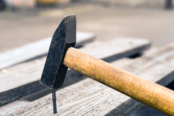 A close-up of a hammer driving a nail into a board. Construction, renovation.