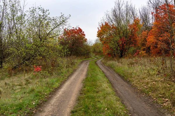 Brudna Droga Jesiennym Lesie Tle Wielobarwnego Liścia — Zdjęcie stockowe