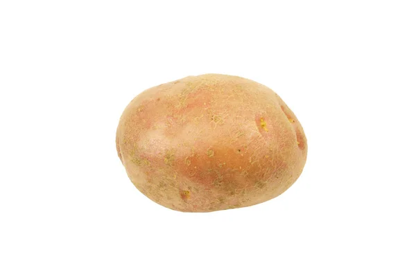 一个土豆在白色背景上被分离出来 马铃薯的特写 — 图库照片