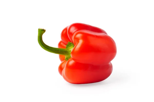 孤立的甜椒 在白色背景上分离出一只红甜椒 — 图库照片
