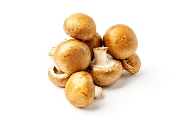 Şampiyon kraliyet, beyaz arka planda izole edilmiş mantarlar