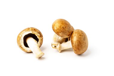 Şampiyon. Beyaz arka planda izole kraliyet mantarları.