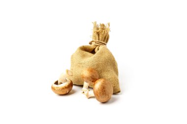 Beyaz arka planda izole edilmiş çuval içinde kraliyet mantarları.