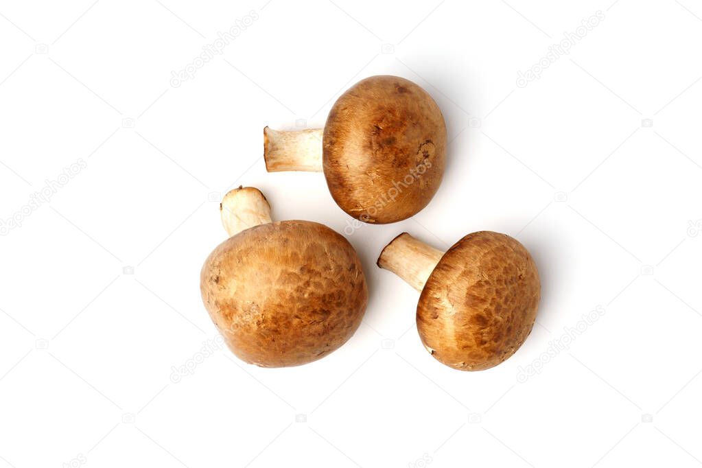 Top view of royal champignons isolated on white background