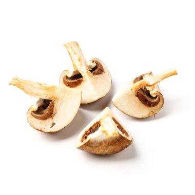 Şampiyon beyaz arkaplanda izole edilmiş parçalara bölündü