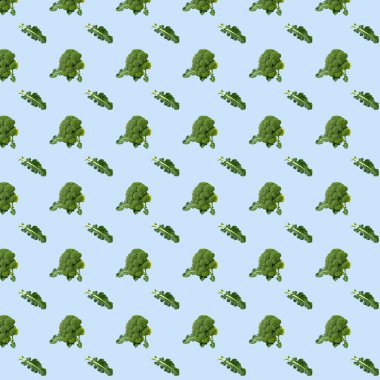 Brokoli, mavi arka planda kusursuz bir desen. Sebze deseni
