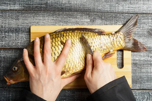 Готувати Прибирання Свіжого Коропа Руки Шеф Кухаря Прибирають Свіжу Рибу — стокове фото
