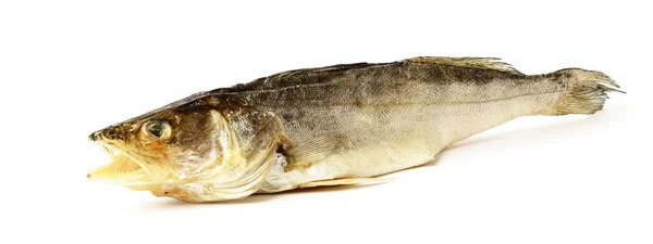 Zander Getrockneter Gesalzener Fisch Isoliert Auf Weißem Hintergrund — Stockfoto