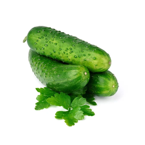 Cucumber Parsley Isolated White Background Fresh Green Vegetables — Stock Photo, Image