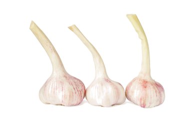 Beyaz arka planda izole edilmiş üç genç sarımsak. Taze sebzeler, aromatik baharatlar.