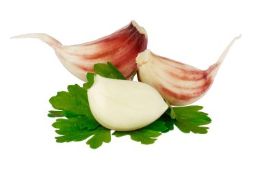 Beyaz arka planda genç sarımsaklı karanfil ve maydanoz. aromatik baharatlar