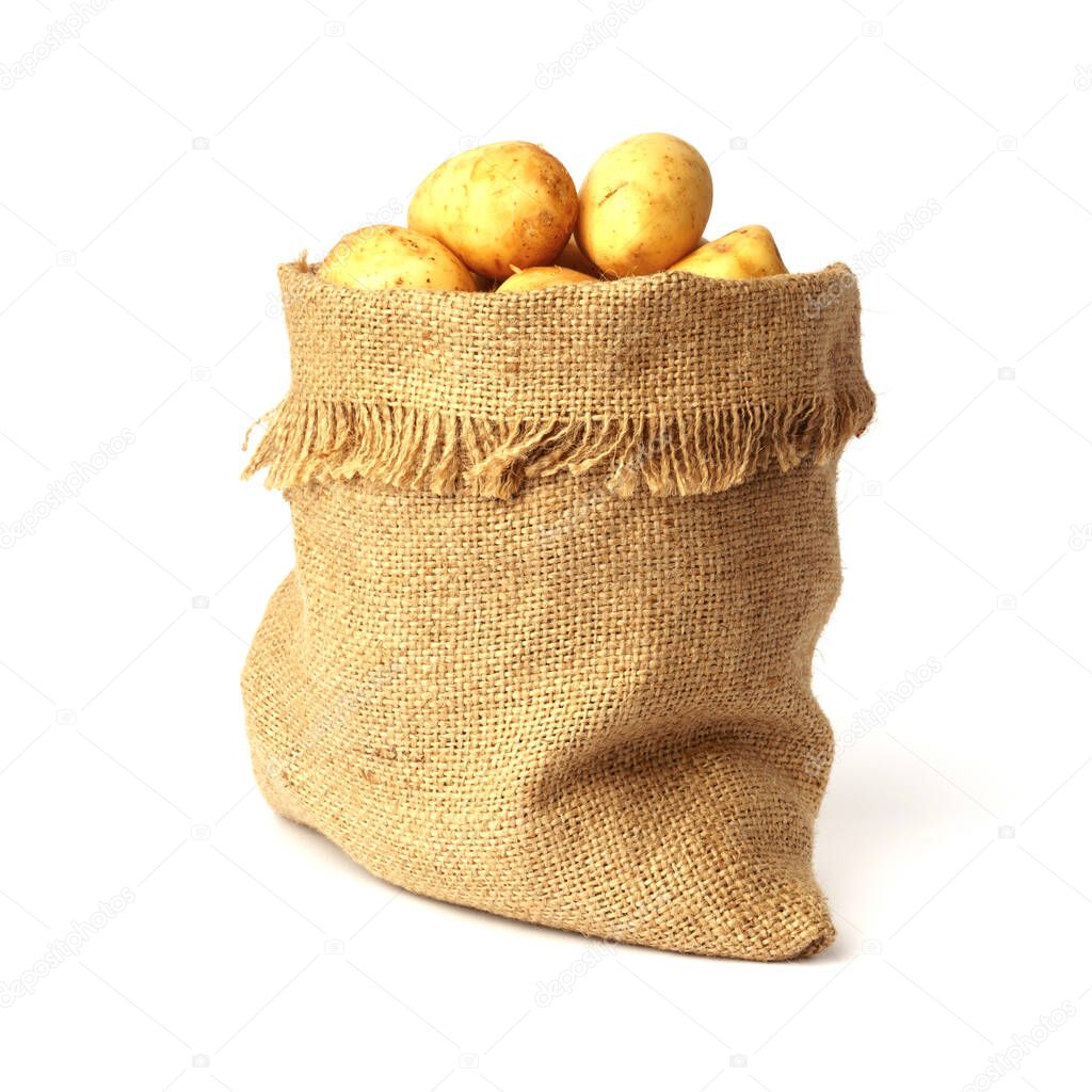young potatoes in a sack bag isolated on white background. new harvest, fresh vegetables