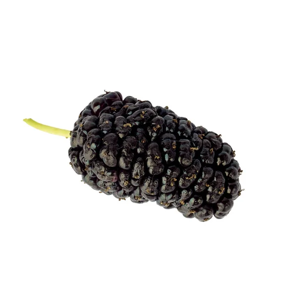Mulberry Isolated White Background Black Delicious Berries — Stock Photo, Image