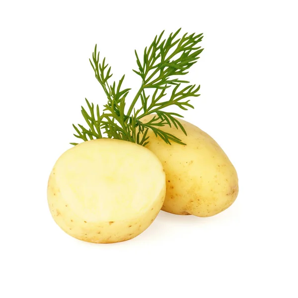 Junge Kartoffeln Und Dill Isoliert Auf Weißem Hintergrund Ein Ganzer — Stockfoto