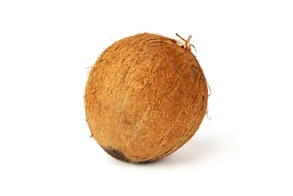 Hele Kokosnoot Geïsoleerd Witte Achtergrond Exotische Vruchten — Stockfoto