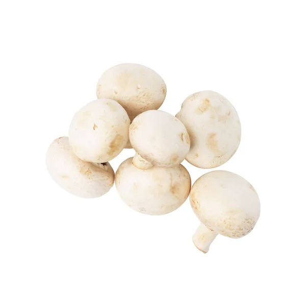 Champignons Isolato Sfondo Bianco Cumuli Funghi Bianchi — Foto Stock