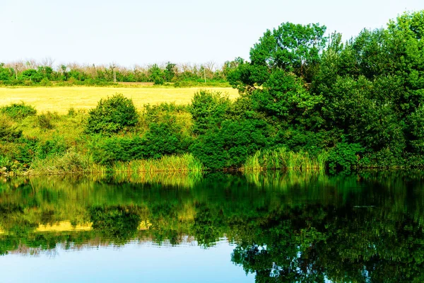 Rivieroever Prachtig Landschap Zonnige Ochtend Aan Rivier — Stockfoto