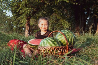 4-5 yaşlarında neşeli küçük bir kız elinde karpuzlarla bir çayırda oturuyor. Mutlu çocukluk. Pankart
