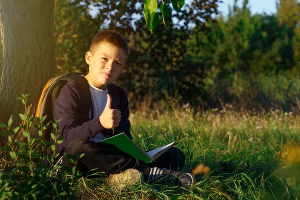 Nettes Kind Liest Ein Buch Unter Einem Baum Junge Zeigt — Stockfoto