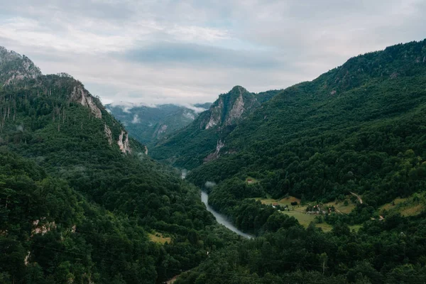 Річка Тара, вид з мосту, Північна Чорногорія. Каньйон річки Тари, найглибший каньйон Європи, другий у світі. Держава Чорногорія — стокове фото