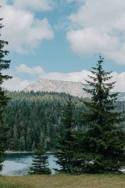 Göl dağların yükseklerinde, dağların yamaçlarında çam ve çam ağaçları yetişiyor, tepelerde evler görülebiliyor, dağlar ve ağaçlar suya, yaza ve güneşe yansıyor. Her zaman yeşil ladin, dağlar ve göl.