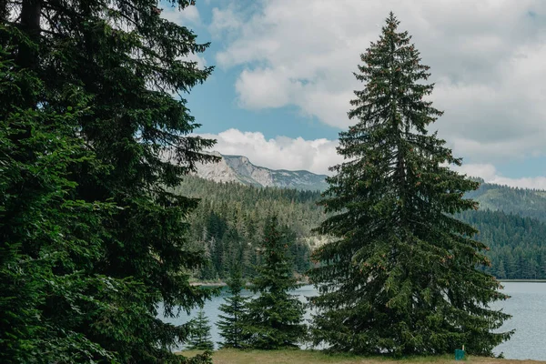 Göl dağların yükseklerinde, dağların yamaçlarında çam ve çam ağaçları yetişiyor, tepelerde evler görülebiliyor, dağlar ve ağaçlar suya, yaza ve güneşe yansıyor. Her zaman yeşil ladin, dağlar ve göl.