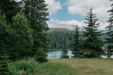 Göl dağların yükseklerinde, dağların yamaçlarında yetişen çam ve çam ağaçları, tepelerde görünen evler, dağlarda ve ağaçlar suya yansıyor, yaz, güneşli