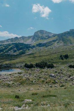 Durmitor dağları, Ulusal Park, Akdeniz, Karadağ, Balkanlar ve Avrupa 'nın muhteşem manzarası. Sedlo Geçidi 'nden parlak yaz manzarası. Dağlardaki evin yanındaki yol..