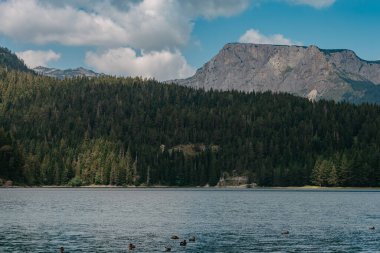 Kara Göl Crno Jezero, Kuzey Karadağ. Avrupa 'nın başkenti Karadağ' ın Durmitor kentinde yer alan Durmitor Milli Parkı 'nda 1416 metre irtifada yer alan bir buzul gölü. Güzellik dünyası.