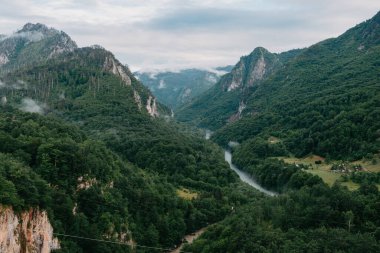 Tara River, kuzey Karadağ 'daki köprünün manzarası. Tara nehri kanyonu, Avrupa 'nın en derin kanyonu, dünyanın ikinci kanyonu. Karadağ Devleti