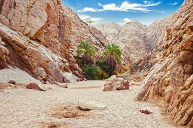 Canyon in Egypt. Egypt, the mountains of the Sinai desert, Colored Canyon clipart