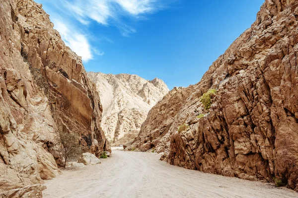Mısır'daki Kanyonu. Mısır, Sina Çölü, renkli Kanyon dağlar