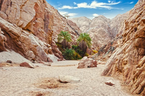 Canyon in Egitto. Egitto, le montagne del deserto del Sinai, Canyon colorato — Foto Stock