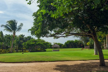 Dominik Cumhuriyeti ülkesindeki Golf Sahası. çim ve Hindistan cevizi avuç içi Seyşeller Adası.
