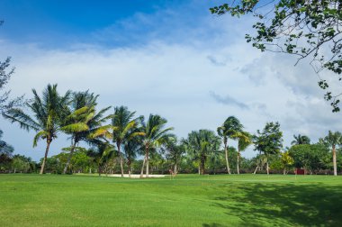 Dominik Cumhuriyeti ülkesindeki Golf Sahası. çim ve Hindistan cevizi avuç içi Seyşeller Adası.